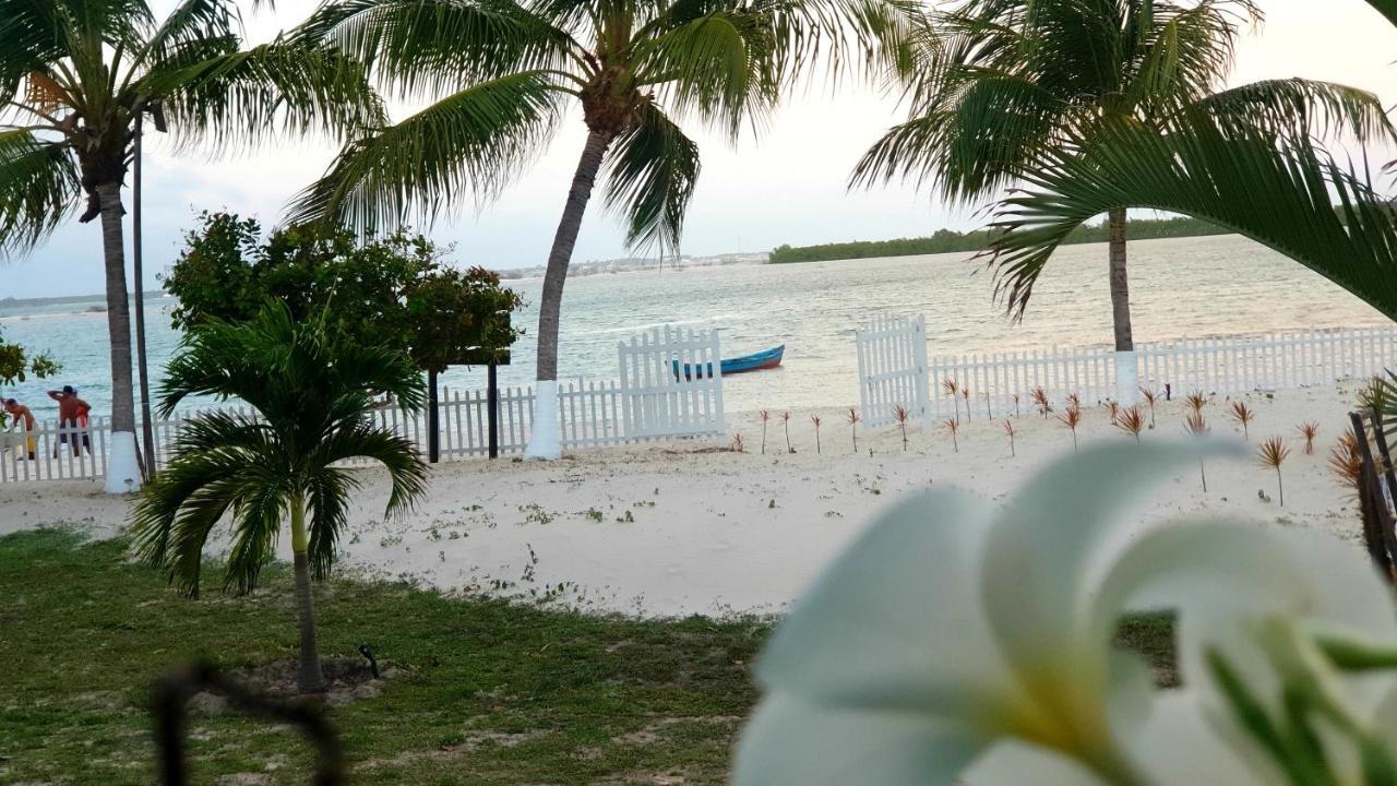 Hotel O Mangue Sêco